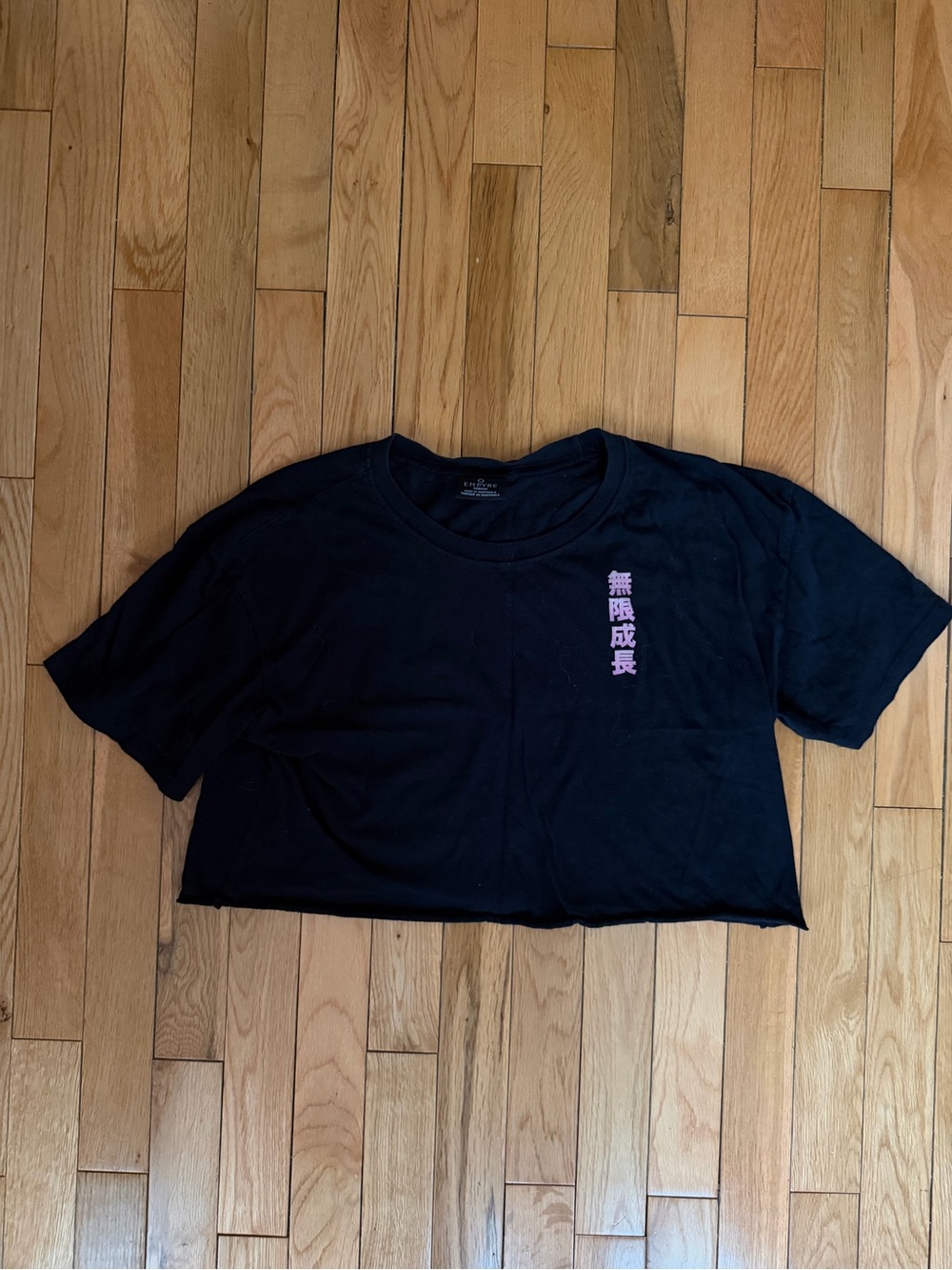 Empyre Black Crop Tee with Pink Vertical Kanji
